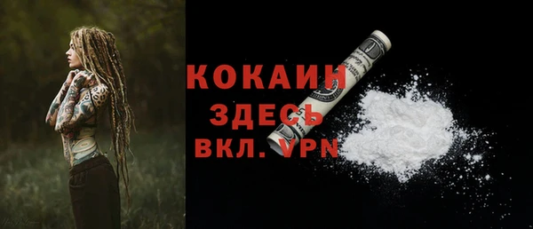 2c-b Горнозаводск