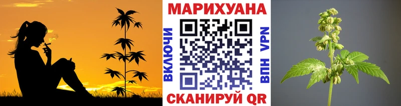 Каннабис OG Kush Симферополь